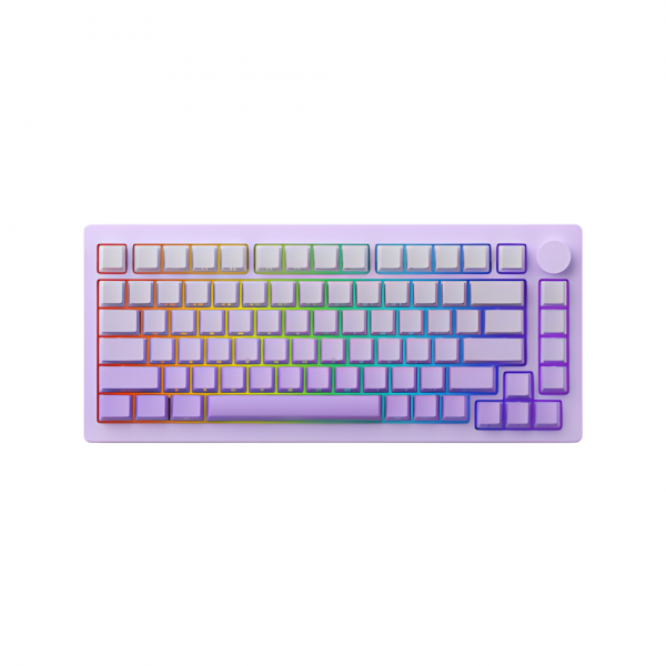 BÀN PHÍM CƠ MONSGEEK M1W HE-SP V3 LILAC PURPLE AKKO CREAM YELLOW V2 MAGNETIC SWITCH