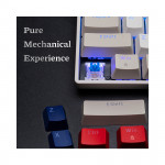 BÀN PHÍM CƠ NEWMEN GM610 KEYCAP EXTRA DUAL MODE BLUE SWITCH