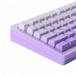 BÀN PHÍM CƠ MONSGEEK M1W HE-SP V3 LILAC PURPLE AKKO CREAM YELLOW V2 MAGNETIC SWITCH