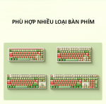 BỘ KEYCAP AKKO WATERMELON (PBT/MOG PROFILE/139 PHÍM)