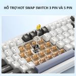 BÀN PHÍM CƠ YINDIAO Y95 PRO POLAR NIGHT GOLD WGA HAIXIA SWITCH