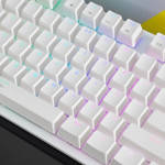 BÀN PHÍM CƠ ASESTEK AK87 RGB WHITE BLUE SWITCH