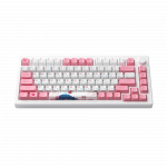 BÀN PHÍM CƠ AKKO MOD007B HE PC TOKYO SAKURA AKKO CREAM SAKURA MAGNETIC SWITCH