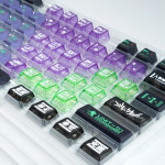 BỘ KEYCAP PC X PBT ENGRAVED EVANGELION UNIT-01 VERSION 1 (PBT/PC/OEM PROFILE/124 PHÍM)