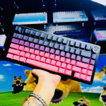 BÀN PHÍM CƠ AULA F75 STRAWBERRY GRADIENT LEOBOG REAPER SWITCH