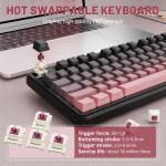 BÀN PHÍM CƠ ATTACK SHARK X98 PRO BLACK BERRY STRAWBERRY SWITCH