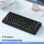 BÀN PHÍM CƠ FREE WOLF F75 MULTI MODES BLACK SILVER MOON SWITCH