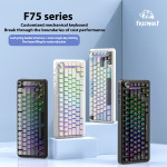 BÀN PHÍM CƠ FREE WOLF F75 MULTI MODES BLACK SILVER MOON SWITCH