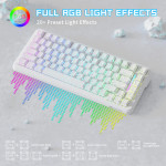 BÀN PHÍM CƠ ATTACK SHARK X82PRO HE WHITE CONTOUR MAGNETIC AMBER SWITCH