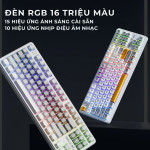 BÀN PHÍM CƠ INPHIC K87 PRO MULTI MODES WHITE CONTOUR BLACK GOLD SWITCH