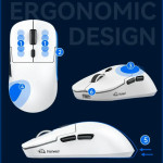 CHUỘT FREE WOLF A6 MULTI MODES WHITE (PAW3311MAX/59G)