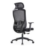 GHẾ CÔNG THÁI HỌC ERGONOMIC EDRA EEC222