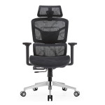 GHẾ CÔNG THÁI HỌC ERGONOMIC EDRA EEC223