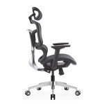 GHẾ CÔNG THÁI HỌC ERGONOMIC EDRA EEC223