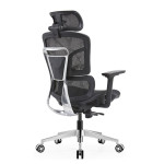 GHẾ CÔNG THÁI HỌC ERGONOMIC EDRA EEC223