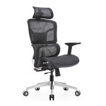 GHẾ CÔNG THÁI HỌC ERGONOMIC EDRA EEC223