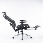 GHẾ CÔNG THÁI HỌC ERGONOMIC EDRA EEC225