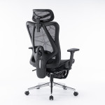 GHẾ CÔNG THÁI HỌC ERGONOMIC EDRA EEC225