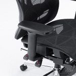 GHẾ CÔNG THÁI HỌC ERGONOMIC EDRA EEC225