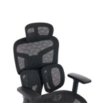 GHẾ CÔNG THÁI HỌC ERGONOMIC EDRA EEC226