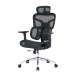 GHẾ CÔNG THÁI HỌC ERGONOMIC EDRA EEC226