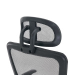 GHẾ CÔNG THÁI HỌC ERGONOMIC EDRA EEC228