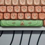 BỘ KEYCAP DYE-SUB GREEN CAPYBARA (PBT/MOA PROFILE/132 PHÍM)