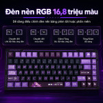 BÀN PHÍM CƠ LINGBAO K75 MULTI MODES RUOLIN PURPLE SOMKY PURPLE SWITCH