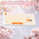 BÀN PHÍM CƠ ATTACK SHARK X87 ULTRA ICE ORANGE MEG SHARK SWITCH