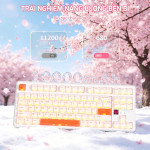 BÀN PHÍM CƠ ATTACK SHARK X87 ULTRA ICE ORANGE MEG SHARK SWITCH