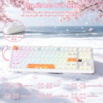 BÀN PHÍM CƠ ATTACK SHARK X87 ULTRA ICE ORANGE MEG SHARK SWITCH