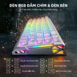 BÀN PHÍM CƠ ATTACK SHARK R68 HE CARBON FIBER ICE NINJA AMBER SWITCH