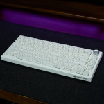 BỘ KEYCAP DARK ALIEN WHITE CONTOUR (PBT/OEM PROFILE/133 PHÍM)