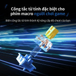 BÀN PHÍM CƠ AJAZZ AK820 MAX ULTRA RAPID TRIGGER MULTI MODES